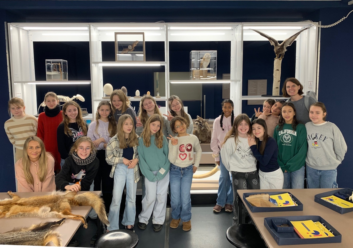 Mehr über den Artikel erfahren Die Klasse 5a auf Entdeckungstour im Senckenberg Museum